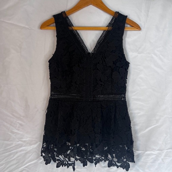 Francescas Vneck Sleeveless Lace Fit & Flare Blouse Dressy Cocktail Size Small - Picture 11 of 11